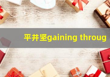 平井坚gaining throug